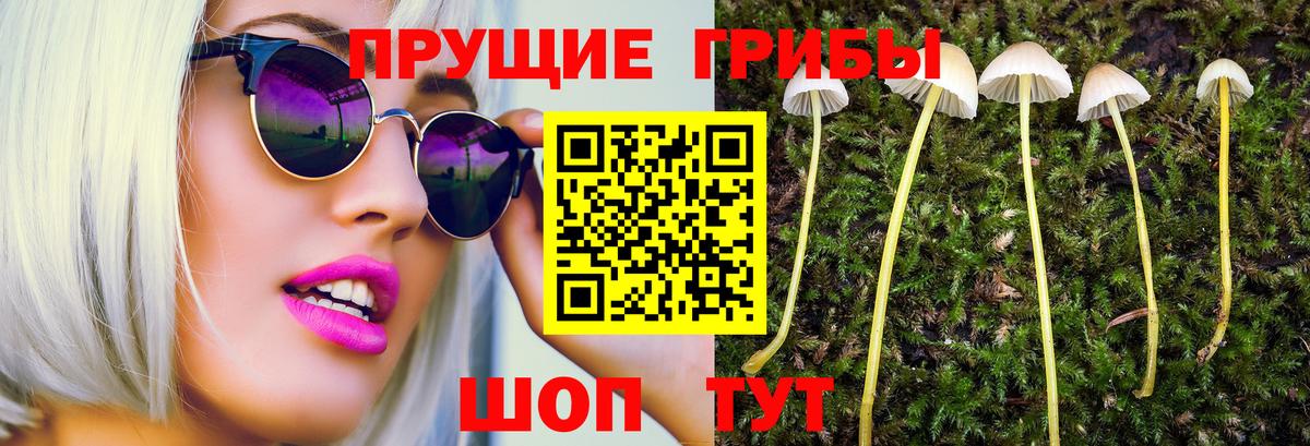 Псилоцибиновые грибы Psilocybine cubensis  хочу наркоту  Новошахтинск  Вход с VPN 
